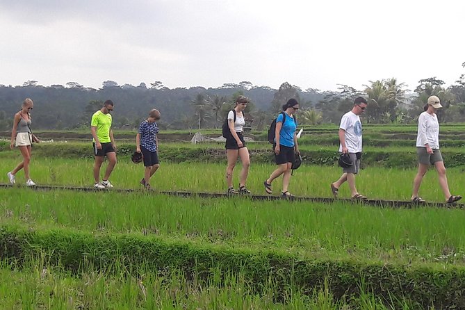 Bali Eco & Educational Cycling Tour - Who Will Enjoy This Day Most