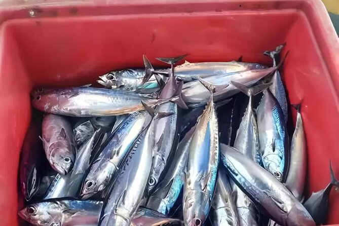 Bali: Fishing Charter Private Boat - What you may catch in five hours