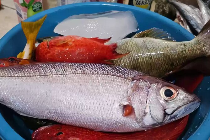 Bali: Fishing Charter Private Boat - Price, timing, and what to bring