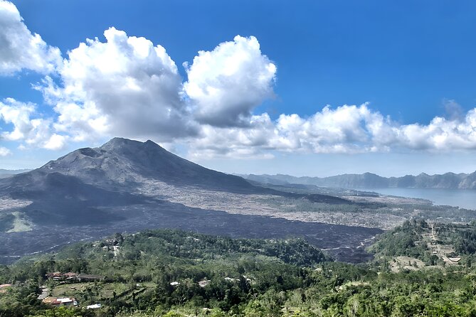 Bali Full-Day Car Charter: Ubud and Kintamani Volcano Tour - Sacred Monkey Forest adds shade, animals, and a little caution