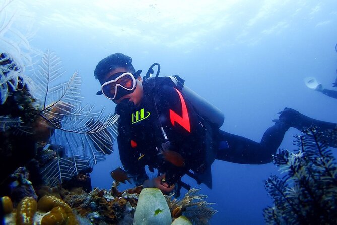 Bali Full Day Experience Scuba Diving Tour at Tulamben - Key points to know before booking