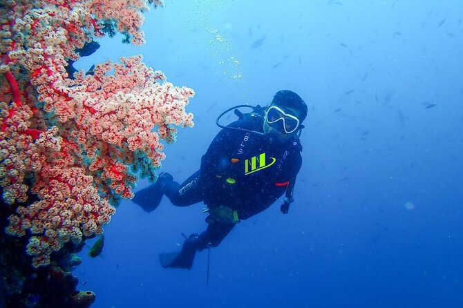 Bali Full Day Experience Scuba Diving Tour at Tulamben - Why Tulamben makes a strong underwater choice