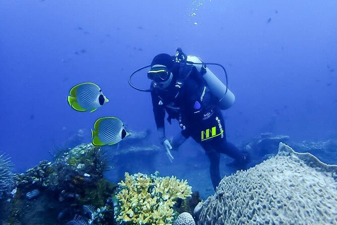 Bali Full Day Experience Scuba Diving Tour at Tulamben - What the $109.10 price really covers