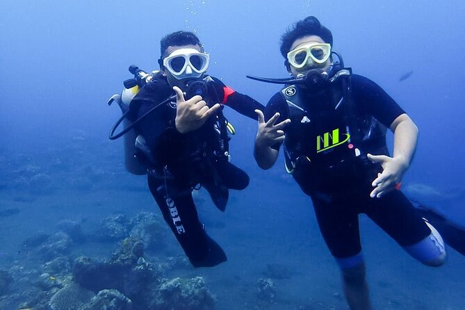 Bali Full Day Experience Scuba Diving Tour at Tulamben - Who should choose this experience
