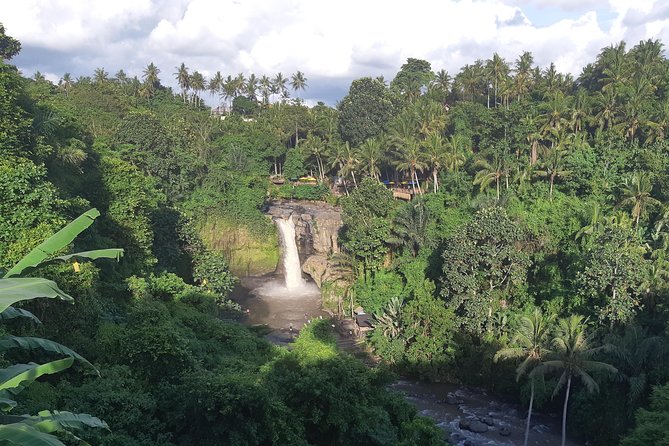 Bali Full Day Holy Water Tour - Celuk Village: watching silver and gold work