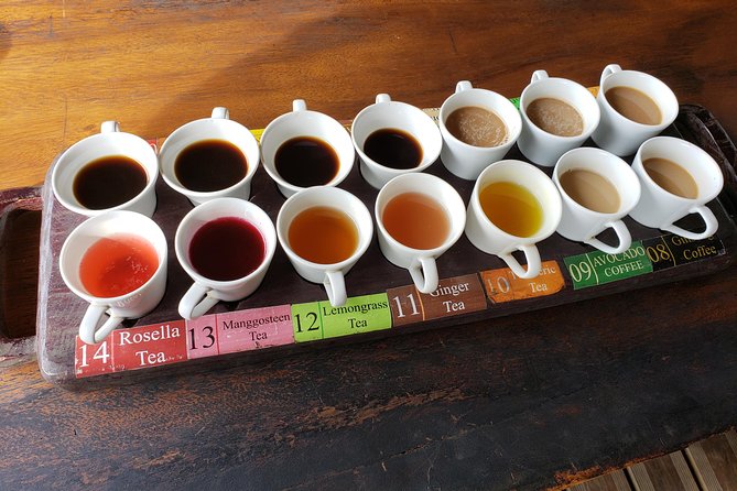 Bali Full Day Holy Water Tour - What the private van format means for your day