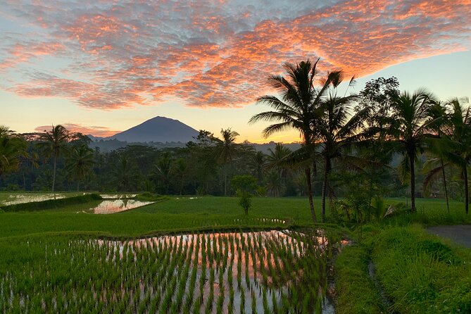 Bali Full Day Photography Tour - The value of a four-person group at $246.16