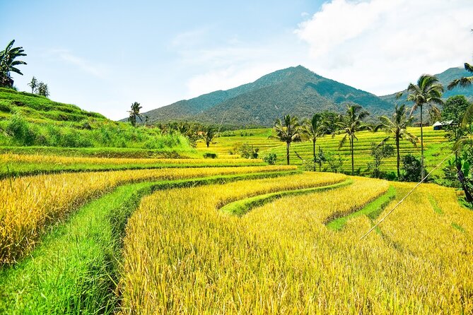 Bali Full-Day Private Customize Tour - What this private Bali day really involves