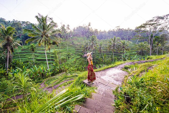 Bali Full-Day Sightseeing Trip with Lunch - Key details before you book