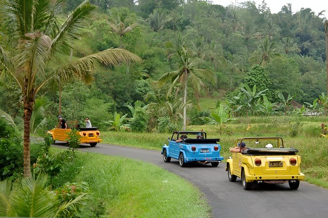 Bali Full-Day The Gate of Heaven Tour by VW Safari Classic Car - Tenganan Village and Bali Aga traditions