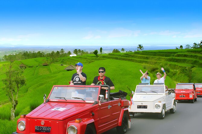 Bali Full-Day The Gate of Heaven Tour by VW Safari Classic Car - Driver service and the private format