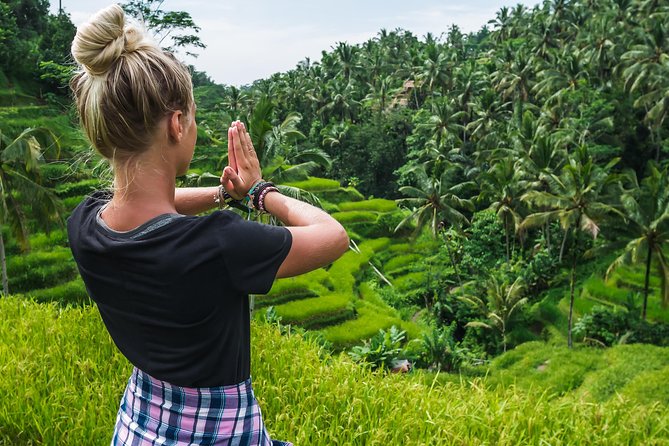Bali Full Day Tour: Highlights of Ubud and Hidden Waterfall - Why this private Ubud day works well