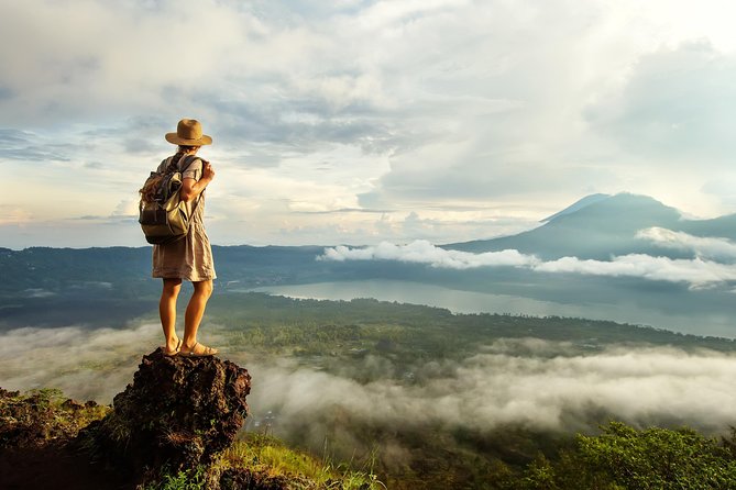 Bali Full Day Tour: Highlights of Ubud and Hidden Waterfall - Is $89 a fair price?