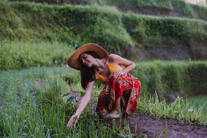 Bali Full Day Tour: Highlights of Ubud and Hidden Waterfall - Starting at the Sacred Monkey Forest