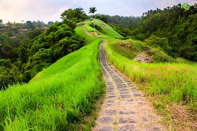 Bali Full Day-Tour: Ubud Sightseeing Trip - Campuhan Ridge starts the day with open views
