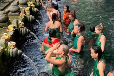 Bali Full Day-Tour: Ubud Sightseeing Trip