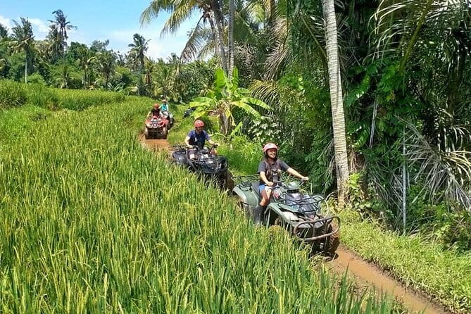 Bali Full-Day Tours : Waterfall and Ubud Destination Trip - The Sacred Monkey Forest Sanctuary