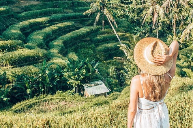 Bali Full-Day Tours : Waterfall and Ubud Destination Trip - Ubud Royal Palace and the Town Center