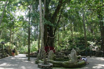 Bali Full-Day Traditional Village Sightseeing Trip All Inclusive