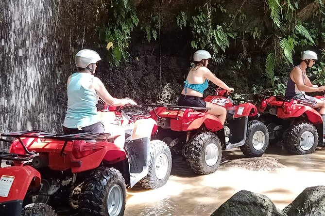 Bali Fun Ride Quad Bike ATV and Waterfall Tour - Starting in Silakarang village