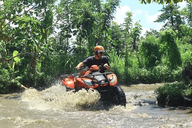 Bali Fun Ride Quad Bike ATV and Waterfall Tour - Ninety minutes of mud, forests, and rice fields
