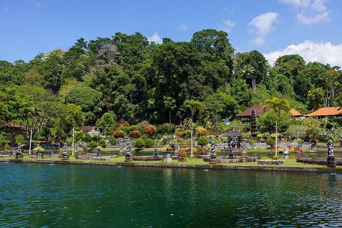 Bali Gate of Heaven Temple, Waterfall, Water Palace & Swing - What the private car and small group really add