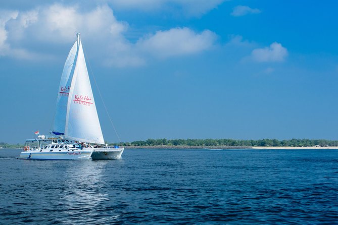 Bali Hai - Aristocat Sailing Cruise - Mushroom Beach and the coral viewer