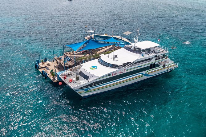 Bali Hai - Reef Cruise - The Pontoon Turns One Stop Into a Full Day