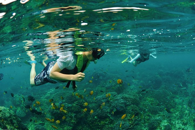 Bali Hai - Reef Cruise - The Village Tour and Island Context