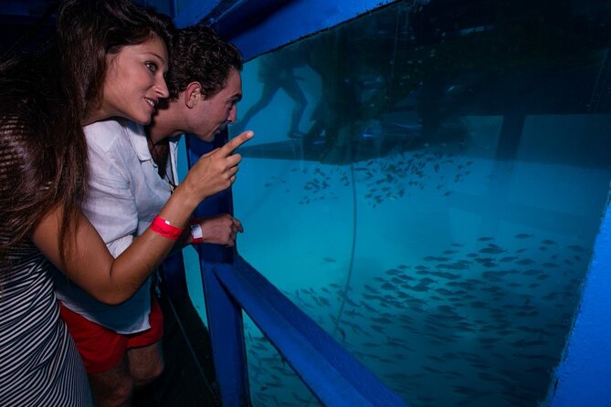 Bali Hai - Reef Cruise - Optional Underwater Programs and Who Should Add Them