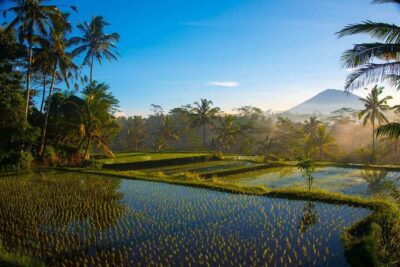 Bali Half Day Photography Tour