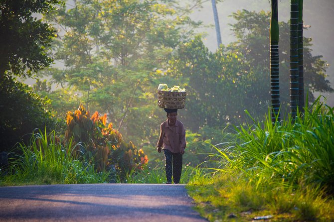 Bali Half Day Photography Tour - What the guides add beyond directions
