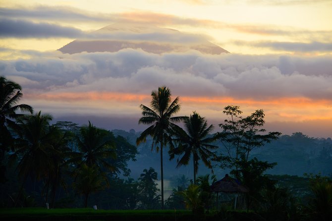 Bali Half Day Photography Tour - Is $164.11 a fair price?
