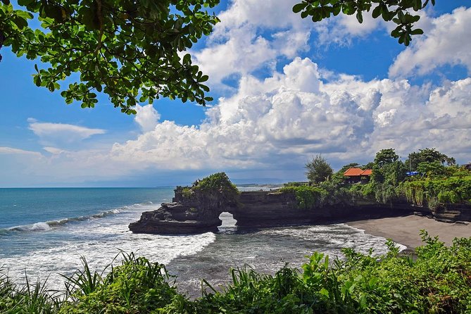 Bali Half Day Tour - Taman Ayun temple, Alas Kedaton,Tanah lot sunset Dinner - Alas Kedaton and the free-roaming monkeys
