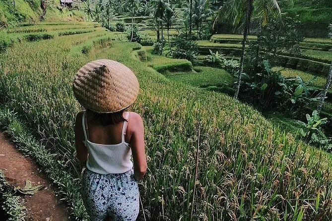 Bali Half Day Trip : All-Inclusive and Private Guided Tour - Monkey Forest: macaques and shaded paths in central Ubud