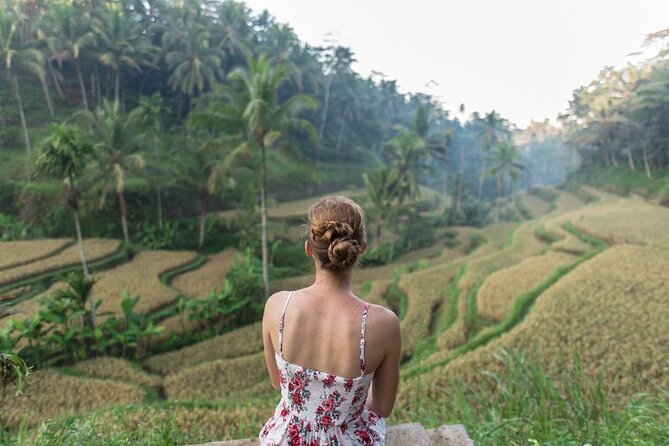 Bali Half Day Trip : All-Inclusive and Private Guided Tour - What the $49 price really includes