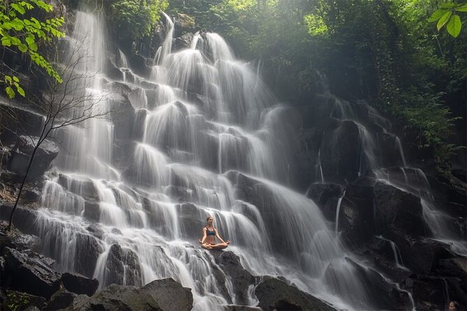 Bali Half Day Trip : All-Inclusive and Private Guided Tour - Tegalalang Rice Terrace: a famous northern view