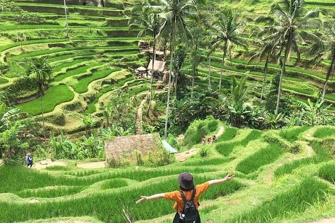 Bali Highlight Private Packages Tours 3 Days - What $180 buys you over three busy days