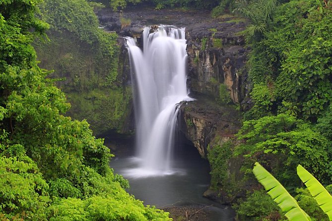 Bali Highlights Private Tour with Elephant Cave and Rice Field - Why This Ubud Day Tour Works