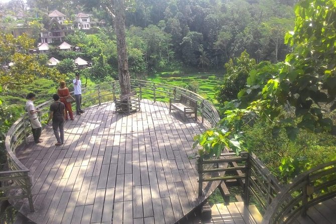 Bali Hindu temple, Rice terrace, Waterfall -All Inclusive - Coffee, scenery, and the Uma Pakel stop