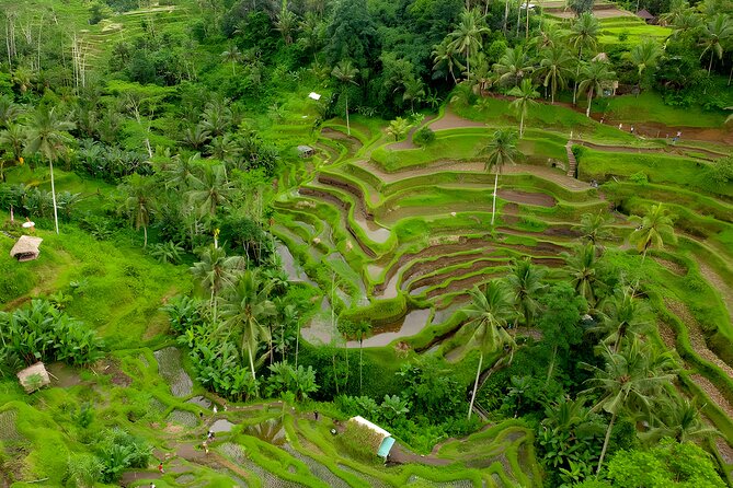 Bali Horse Riding Activity and Full-Day Trip in Ubud - Saba Beach on horseback