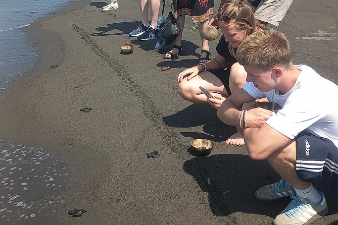 Bali Horse Riding and Turtle Release at Saba Beach - Tegenungan Waterfall closes the route