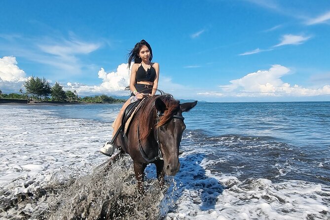 Bali Horse Riding and Turtle Release at Saba Beach - Who will get the most from this experience