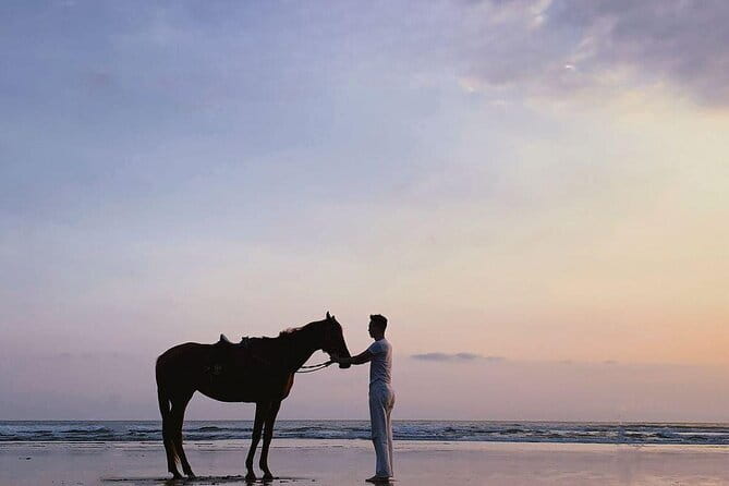 Bali Horse Riding Sanur Beach include Transport - Sunrise, Timing, and the Best Start