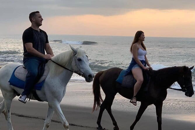 Bali Horse Riding Seminyak Beach Experience Private Transport - What Makes This Ride Worth Considering