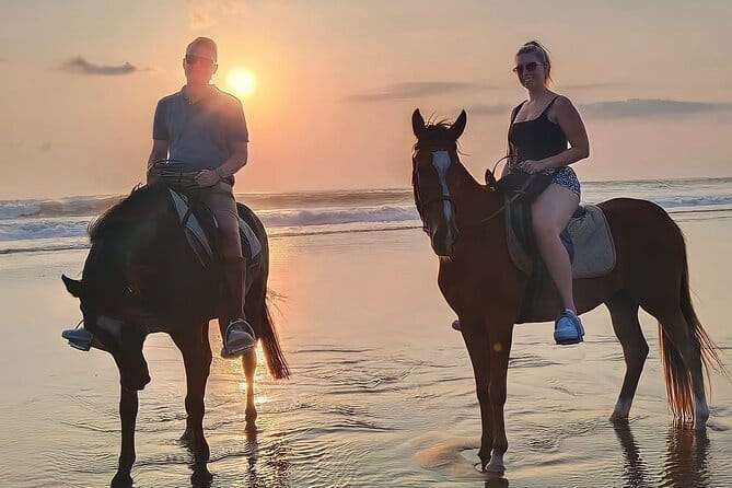 Bali Horse Riding Seminyak Beach Experience Private Transport - Arriving at Mesari Stables in Seminyak