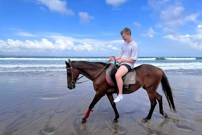 Bali Horse Riding Seminyak Beach Experience Private Transport - What the $39.80 Price Really Buys