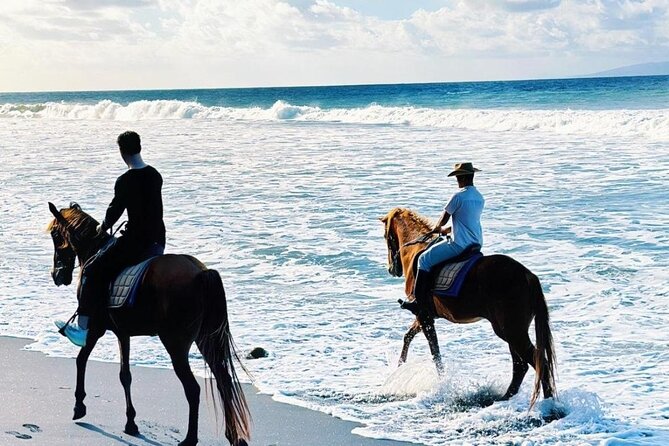 Bali Horse Riding Trot & Canter Saba Beach with Local Temple - What happens during the one-hour experience