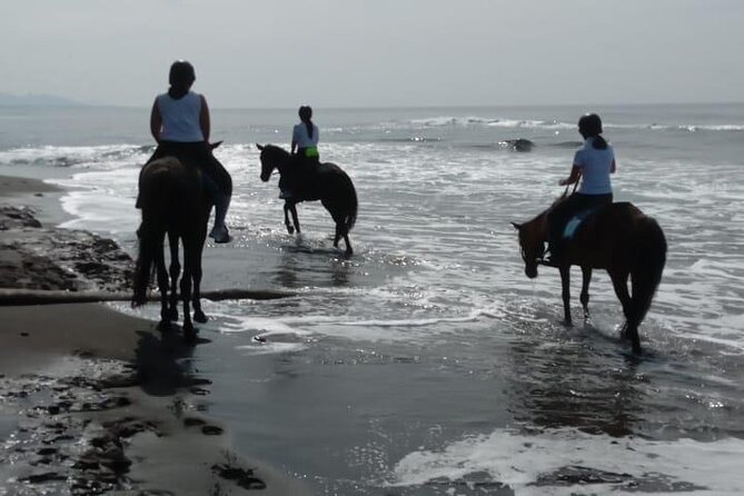 Bali Horse Riding Trot & Canter Saba Beach with Local Temple - The local temple detail needs clarification