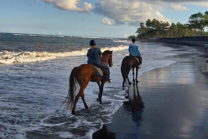 Bali Horse Riding Trot & Canter Saba Beach with Local Temple - Guides, photographs, and the personal touch